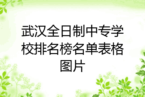 武汉全日制中专学校排名榜名单表格图片