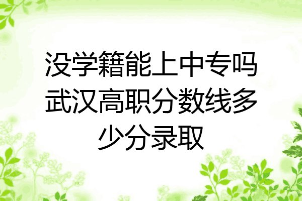 没学籍能上中专吗武汉高职分数线多少分录取