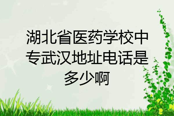 湖北省医药学校中专武汉地址电话是多少啊
