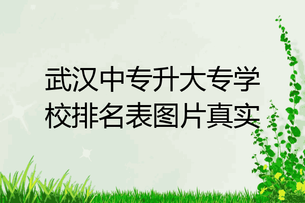 武汉中专升大专学校排名表图片真实