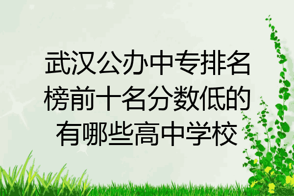 武汉公办中专排名榜前十名分数低的有哪些高中学校