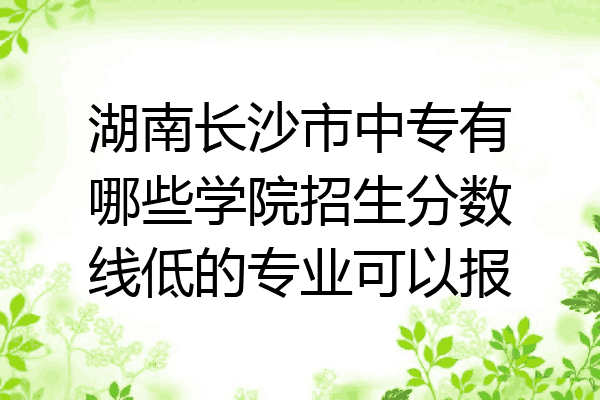 湖南长沙市中专有哪些学院招生分数线低的专业可以报