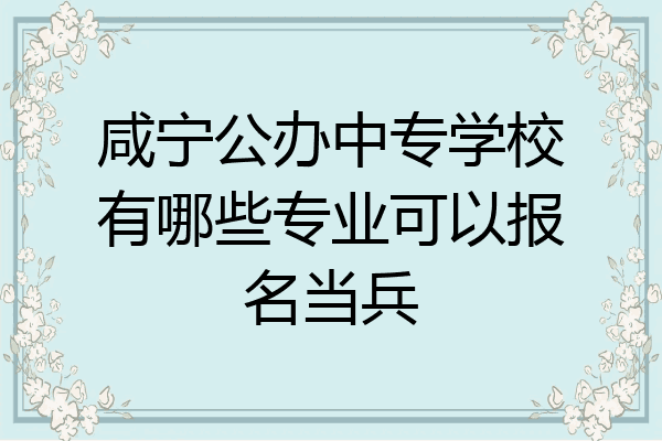 咸宁公办中专学校有哪些专业可以报名当兵