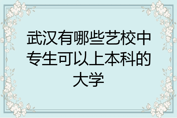 武汉有哪些艺校中专生可以上本科的大学