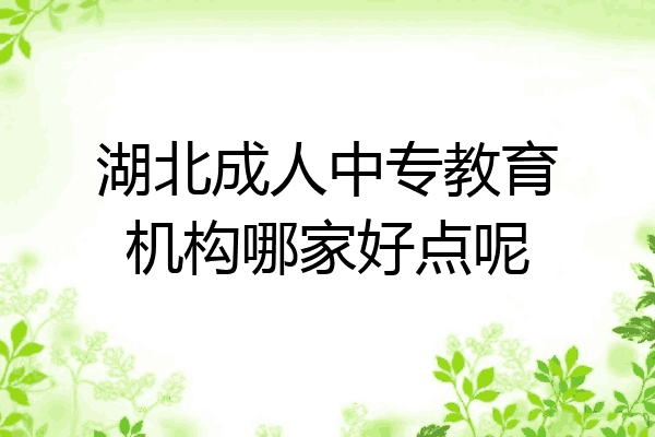 湖北成人中专教育机构哪家好点呢