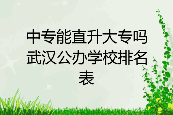 中专能直升大专吗武汉公办学校排名表