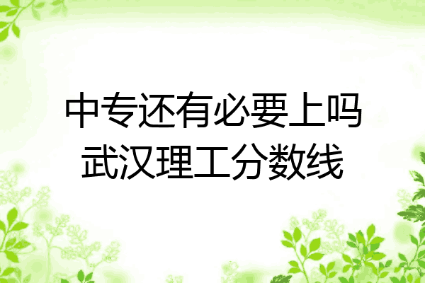 中专还有必要上吗武汉理工分数线