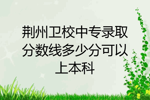 荆州卫校中专录取分数线多少分可以上本科