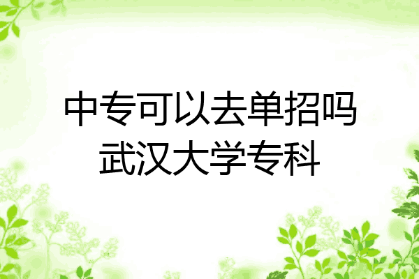 中专可以去单招吗武汉大学专科