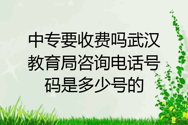 中专要收费吗武汉教育局咨询电话号码是多少号的