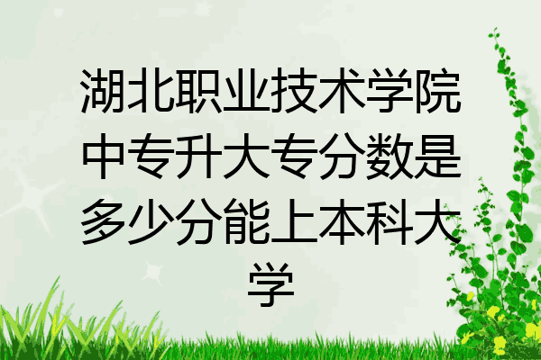湖北职业技术学院中专升大专分数是多少分能上本科大学