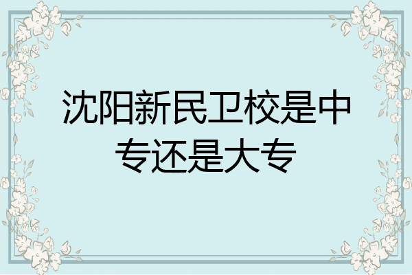 沈阳新民卫校是中专还是大专