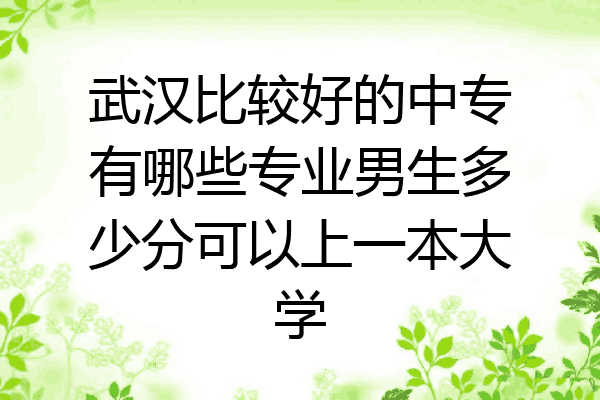 武汉比较好的中专有哪些专业男生多少分可以上一本大学