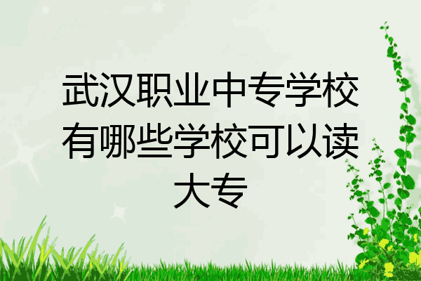 武汉职业中专学校有哪些学校可以读大专