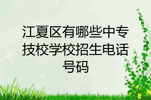 江夏区有哪些中专技校学校招生电话号码