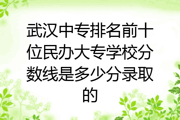 武汉中专排名前十位民办大专学校分数线是多少分录取的