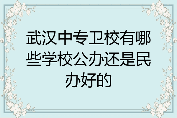武汉中专卫校有哪些学校公办还是民办好的