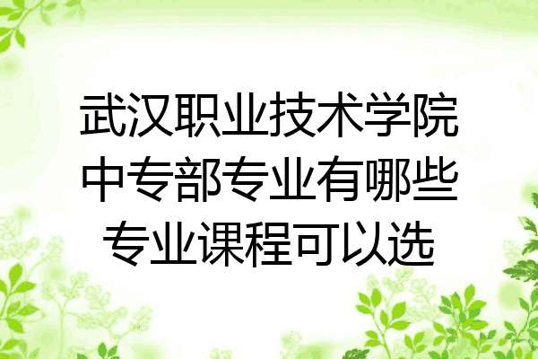 武汉职业技术学院中专部专业有哪些专业课程可以选