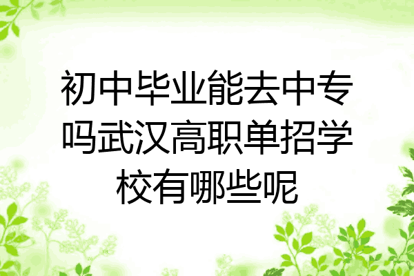 初中毕业能去中专吗武汉高职单招学校有哪些呢