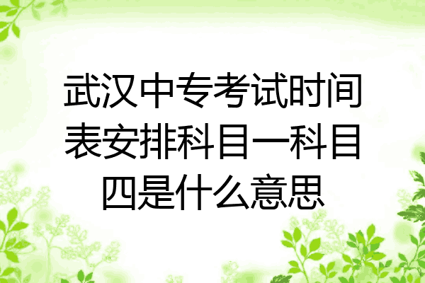 武汉中专考试时间表安排科目一科目四是什么意思