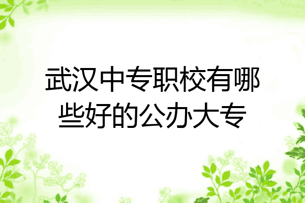 武汉中专职校有哪些好的公办大专