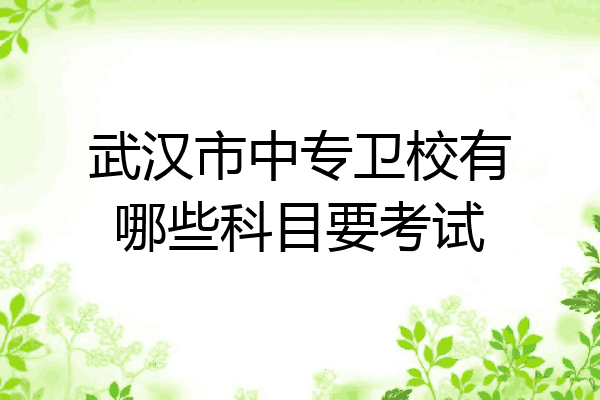 武汉市中专卫校有哪些科目要考试