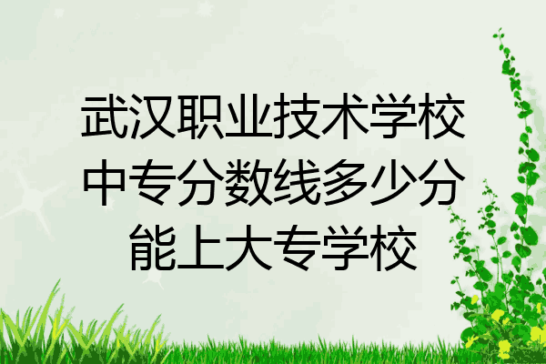武汉职业技术学校中专分数线多少分能上大专学校