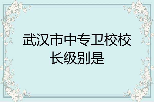 武汉市中专卫校校长级别是