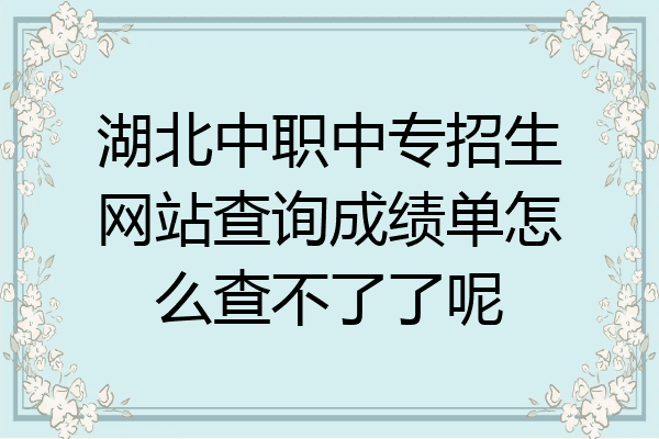 湖北中职中专招生网站查询成绩单怎么查不了了呢