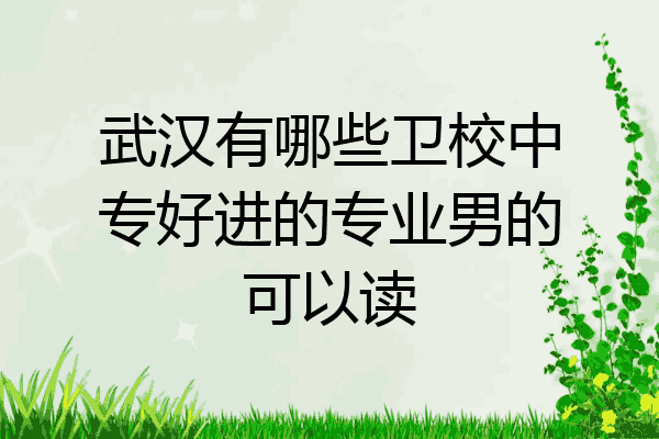 武汉有哪些卫校中专好进的专业男的可以读