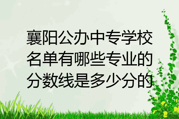 襄阳公办中专学校名单有哪些专业的分数线是多少分的