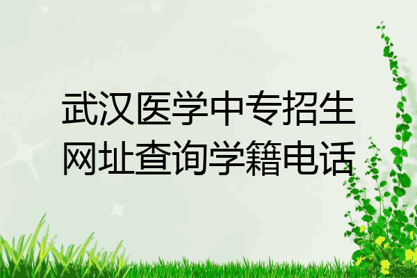 武汉医学中专招生网址查询学籍电话
