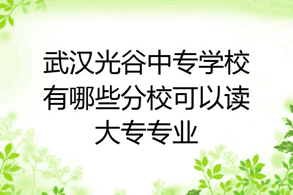 武汉光谷中专学校有哪些分校可以读大专专业