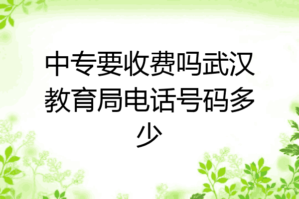 中专要收费吗武汉教育局电话号码多少