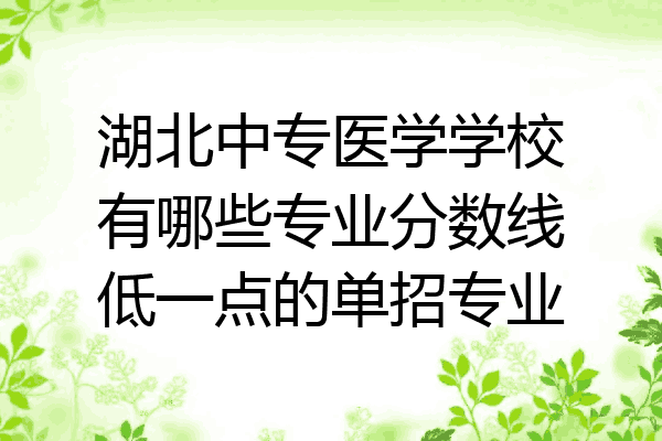 湖北中专医学学校有哪些专业分数线低一点的单招专业