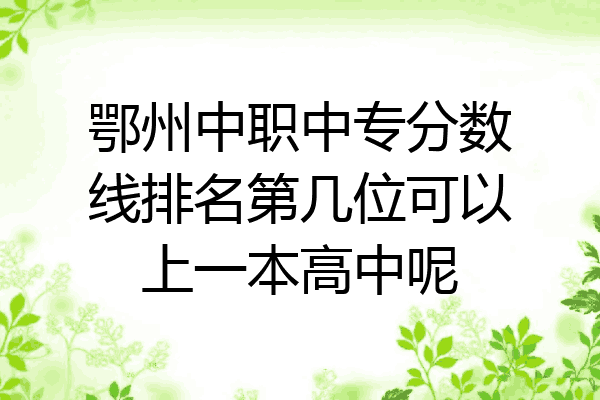 鄂州中职中专分数线排名第几位可以上一本高中呢
