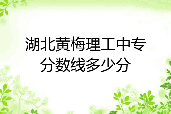 湖北黄梅理工中专分数线多少分