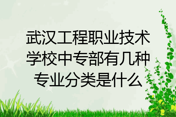 武汉工程职业技术学校中专部有几种专业分类是什么