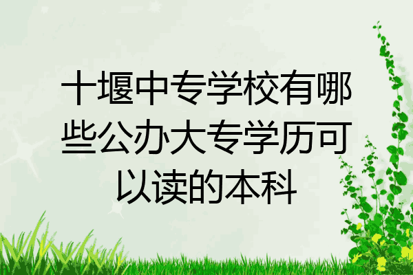 十堰中专学校有哪些公办大专学历可以读的本科