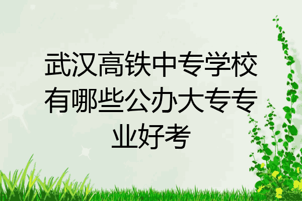 武汉高铁中专学校有哪些公办大专专业好考
