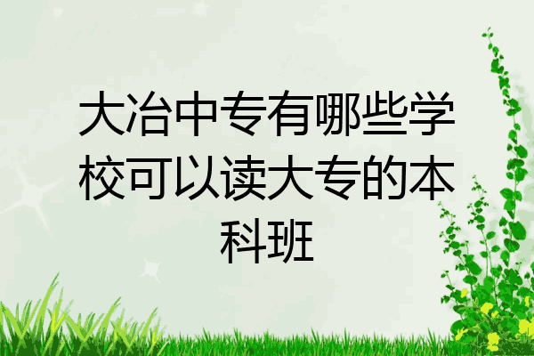大冶中专有哪些学校可以读大专的本科班