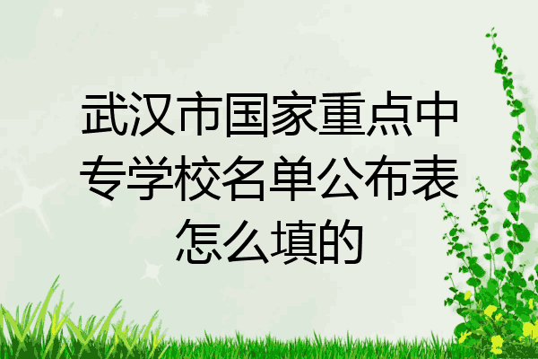 武汉市国家重点中专学校名单公布表怎么填的