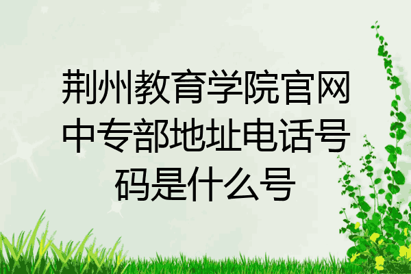 荆州教育学院官网中专部地址电话号码是什么号