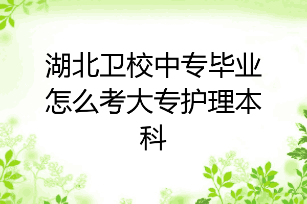 湖北卫校中专毕业怎么考大专护理本科