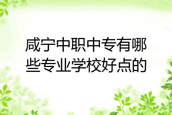 咸宁中职中专有哪些专业学校好点的