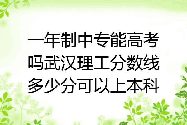 一年制中专能高考吗武汉理工分数线多少分可以上本科