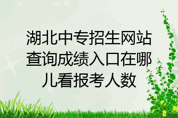 湖北中专招生网站查询成绩入口在哪儿看报考人数