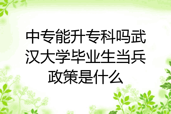 中专能升专科吗武汉大学毕业生当兵政策是什么