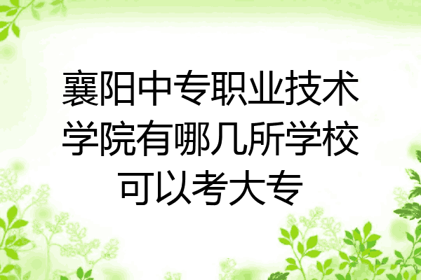 襄阳中专职业技术学院有哪几所学校可以考大专
