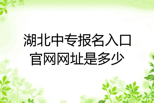 湖北中专报名入口官网网址是多少